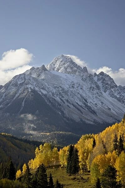 Yellow aspens and snow-covered mountains, Uncompahgre National Forest, Colorado