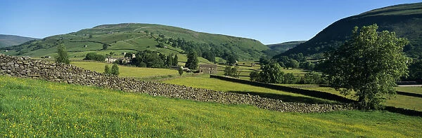 Yellow buttercup meadow with stone wall and typical landscape in Swaledale, Gunnerside