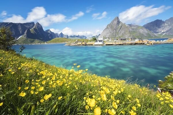 Yellow flowers in bloom beside the turquoise sea and the fishing village of Sakrisoy