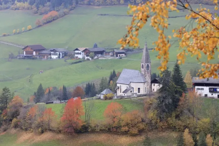 Framed Print : The yellow leaves of a larch frame the alpine church in the fall, St. Magdalena, Funes Valley