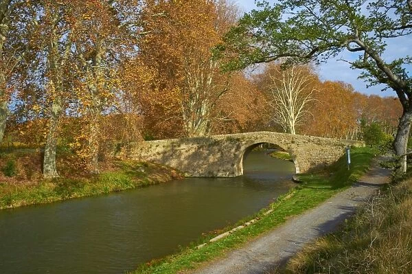 Yellow and red leaves in autumn and old bridge along the Canal du Midi
