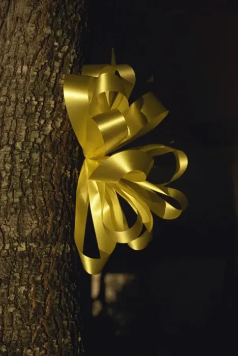 Framed Print : Yellow ribbon, Dallas, Texas, United States of America, North America