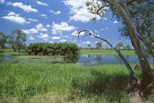 The Yellow Water wetlands on floodplain of the Alligator River, Kakadu National Park