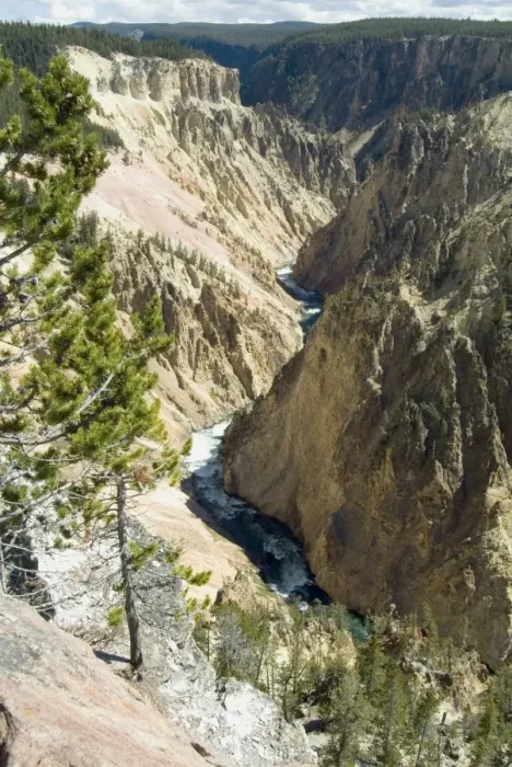 Framed Print : Yellowstone Canyon Framed Print : Yellowstone Canyon