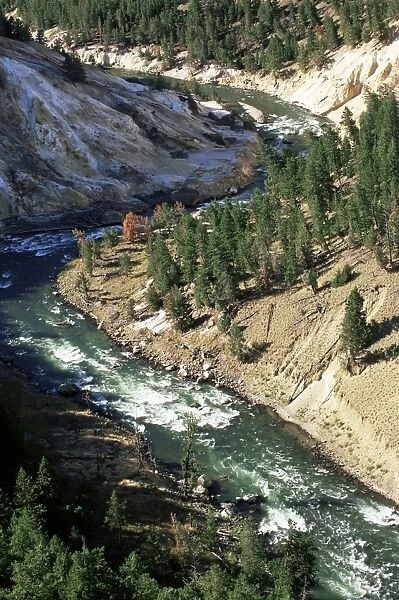 The Yellowstone River near Tower-Roosevelt Junction