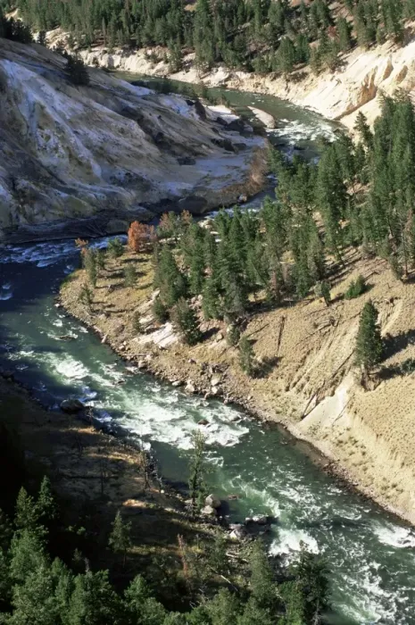 Framed Print : The Yellowstone River near Tower-Roosevelt Junction Framed Print : The Yellowstone River near Tower-Roosevelt Junction
