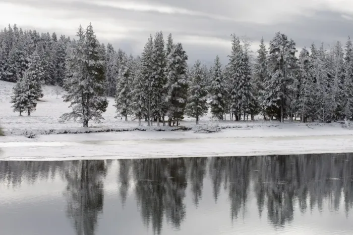Framed Print : Yellowstone River in winter, Yellowstone National Park, UNESCO World Heritage Site Framed Print : Yellowstone River in winter, Yellowstone National Park, UNESCO World Heritage Site