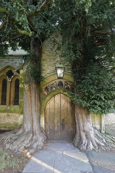 Yew trees and door of St. Edwards Church, Stow-on-the-Wold, Cotswolds, Gloucestershire