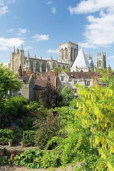 York Minster viewed from the bar Walls in summer time, York, Yorkshire, England, United Kingdom, Europe