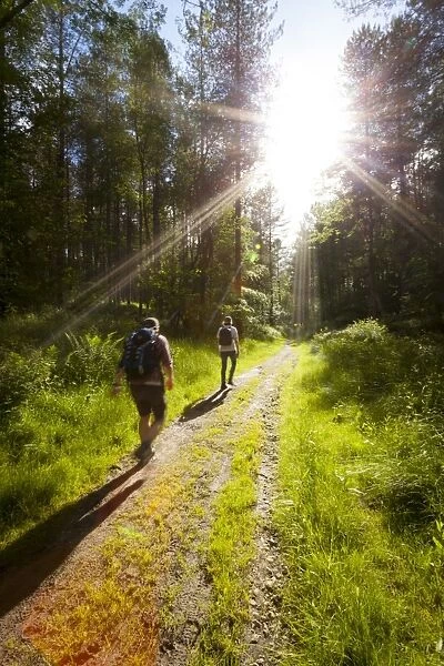 Young men hiking on an outdoor adventure trail, The Chilterns, Buckinghamshire, England, United Kingdom, Europe