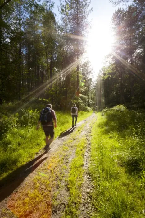 Framed Print : Young men hiking on an outdoor adventure trail, The Chilterns, Buckinghamshire, England, United Kingdom, Europe Framed Print : Young men hiking on an outdoor adventure trail, The Chilterns, Buckinghamshire, England, United Kingdom, Europe