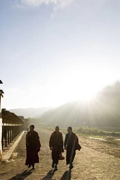 Young monks walking, Xiahe monastery, Xiahe, Gansu, China, Asia