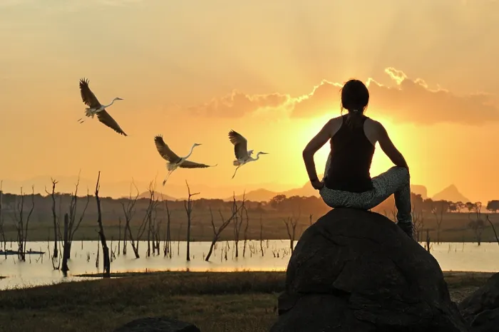 Framed Print : Young woman admiring a flight of grey heron at sunset by the Senanayake Samudraya Lake, Gal Oya National Park, Sri Lanka, Indian subcontinent, South Asia Framed Print : Young woman admiring a flight of grey heron at sunset by the Senanayake Samudraya Lake, Gal Oya National Park, Sri Lanka, Indian subcontinent, South Asia
