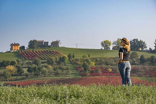 Young woman with blonde hair wearing a hat looking at a hill covered by red vineyards in autumn, Emilia Romagna, Italy, Europe