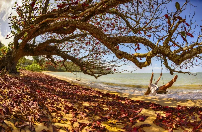 Framed Print : A young woman enjoys a quiet fall day by the seaside on a swing, Kiluea, Hawaii Framed Print : A young woman enjoys a quiet fall day by the seaside on a swing, Kiluea, Hawaii