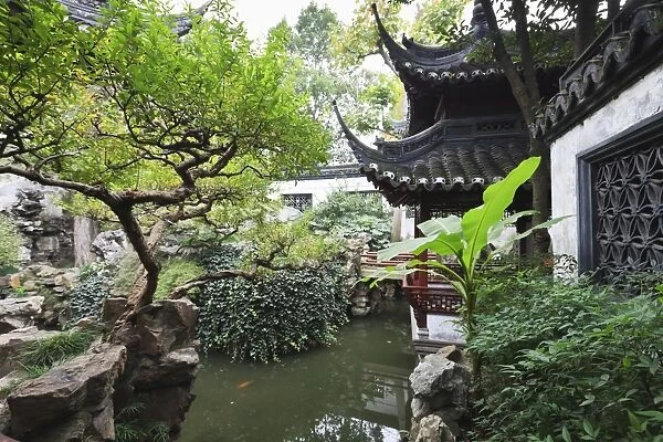 Yu Gardens (Yuyuan Gardens), the restored 16th century gardens are one of Shanghais most popular tourist attractions, Nanshi, Shanghai, China, Asia