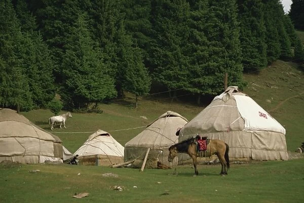 Yurts and horses near Lake Tianche in Xinjiang Province, China, Asia