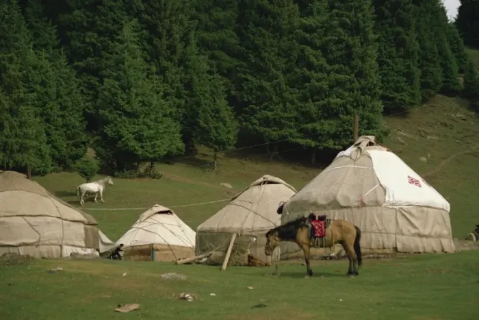 Framed Print : Yurts and horses near Lake Tianche in Xinjiang Province, China, Asia Framed Print : Yurts and horses near Lake Tianche in Xinjiang Province, China, Asia