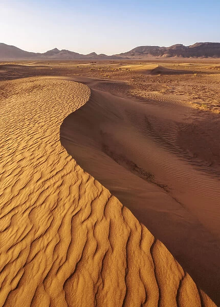 Zagora Desert at sunrise, Draa-Tafilalet Region, Morocco, North Africa, Africa