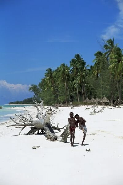 Zanzibari boys playing on Pingwe beach, Zanzibar, Tanzania, East Africa, Africa