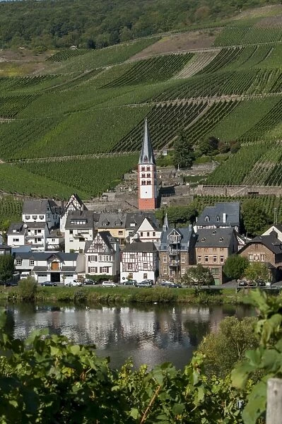 Zell church on River Mosel, Zell, Rhineland-Palatinate, Germany, Europe