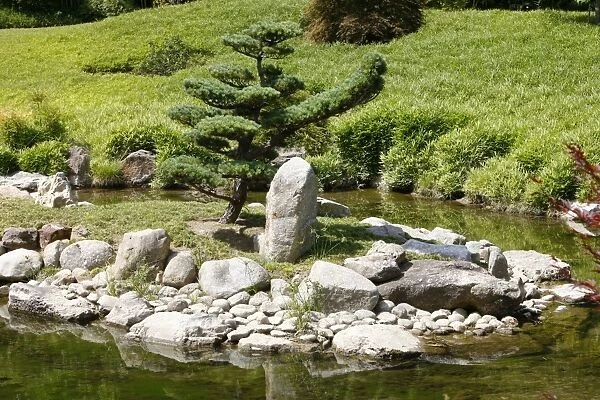 Zen garden, Anduze, Gard, France, Europe