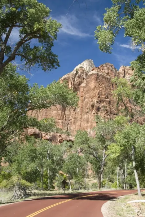 Framed Print : Zion Canyon Scenic Drive, near Zion Lodge, Zion National Park, Utah, United States of America