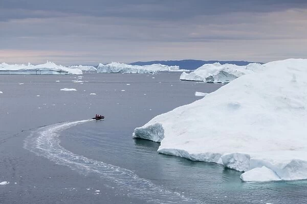 A Zodiac amongst huge icebergs calved from the Ilulissat Glacier, UNESCO World Heritage Site, Ilulissat, Greenland, Polar Regions