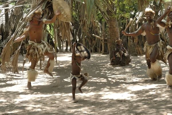 Zulu tribal dance group, Dumazula Cultural Village, South Africa, Africa