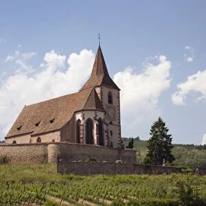 The 15th century fortified church of St. Jacques and Grand Cru vineyards on the Alsation wine route