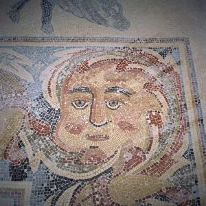 Detail of 6th century AD mosaic in Apostles Church, Madaba, Jordan, Middle East