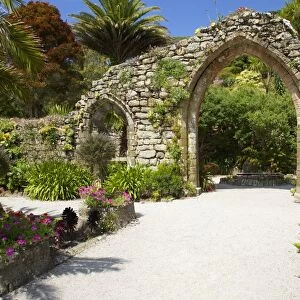 Abbey Gardens, Isle of Tresco, Isles of Scilly, United Kingdom, Europe