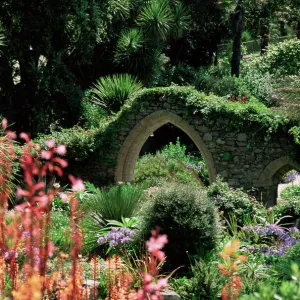 Abbey Gardens, Tresco, Isles of Scilly, United Kingdom, Europe