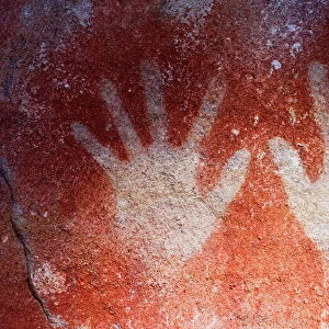 Aboriginal Rock Art at the Art Gallery, Carnarvon Gorge, Carnarvon National Park