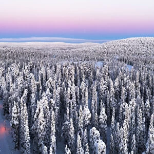 Aerial view of two hikers walking in the snowcapped forest at dawn, Iso-Syote, Lapland, Finland, Europe