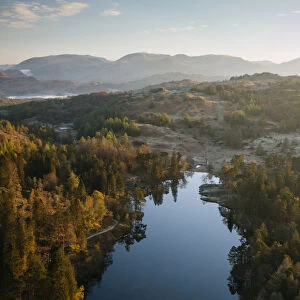 Aerial view over Tarn Hows at dawn, Lake District National Park
