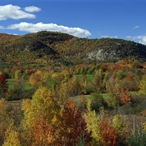 Aerial view over woodland and rolling hills in fall colours, White Mountain National Park