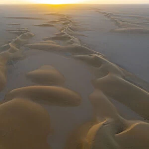 Aerials of sand dunes at sunset, Dirkou, Djado Plateau, Sahara, Niger, Africa