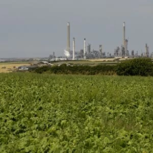 Agricultural land in the foreground and oil refinery