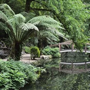 Alfred Nicholas Gardens, Dandenong Ranges National Park, Dandenong Ranges