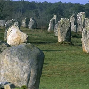 Alignments of Megalithic standing stones, Carnac, Morbihan, Brittany, France, Europe