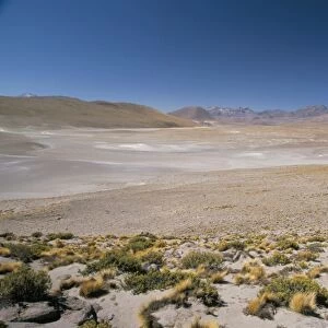 Altiplano and high-level volcanoes, El Tatio basin, above Calama, Atacama Desert