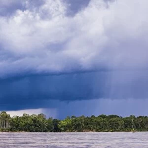 Amazon Rainforest storm, Coca, Ecuador, South America