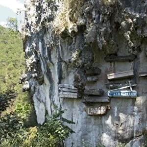 Animist hanging coffins still in use today, on limestone cliff in Echo Valley