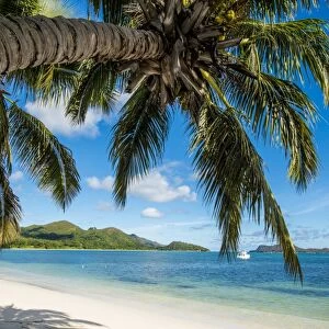 Anse Government beach, Praslin, Republic of Seychelles, Indian Ocean, Africa