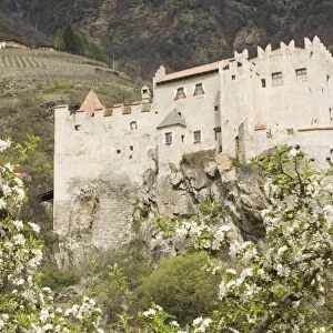 Apple blossom in spring and the castle at Castelbello, Adige Valley, Italy, Europe
