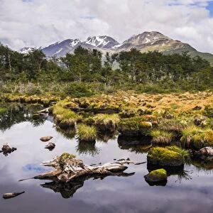 Arakur Nature Reserve, Hotel Arakur Ushuaia Resort and Spa, Ushuaia, Tierra del Fuego