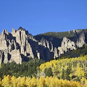Aspens in fall colors with mountains and evergreens
