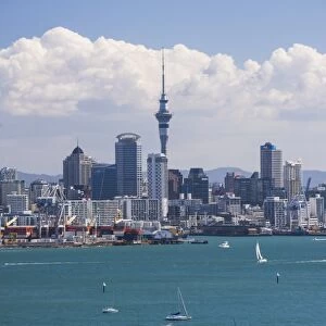 Auckland City skyline and Auckland Harbour seen from Devenport, North Island, New Zealand
