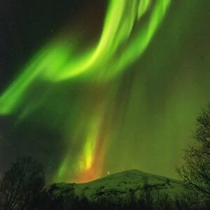 Aurora borealis (Northern Lights) on Kungsleden (Kings Trail), Abisko National Park